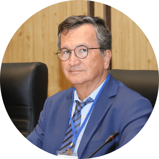 Mehmet Zileli
